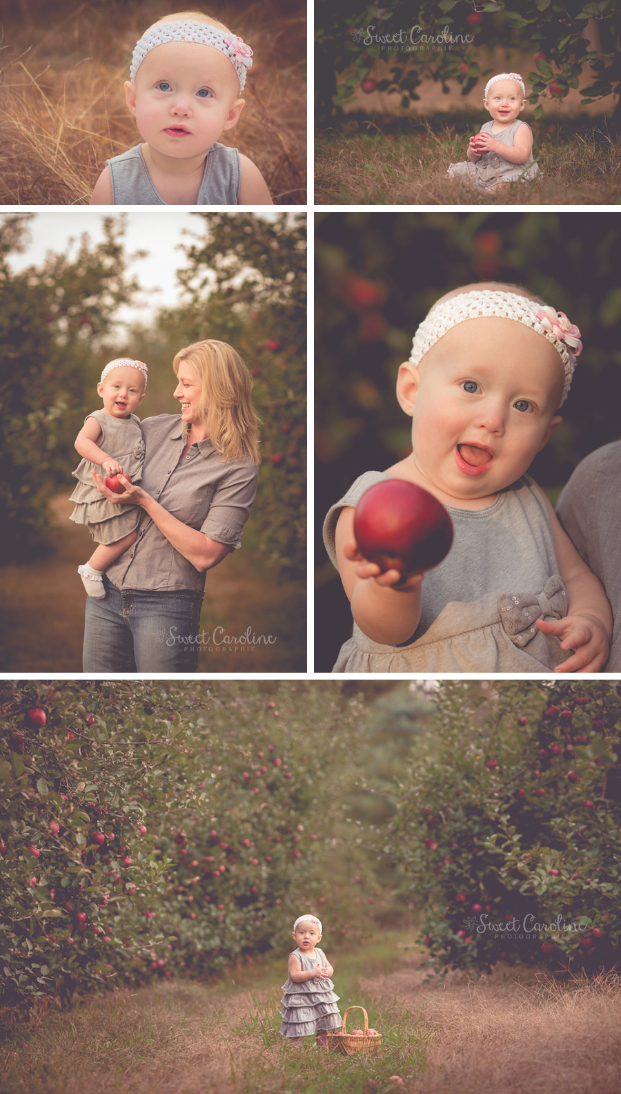 one year old baby girl with mama at apple orchard