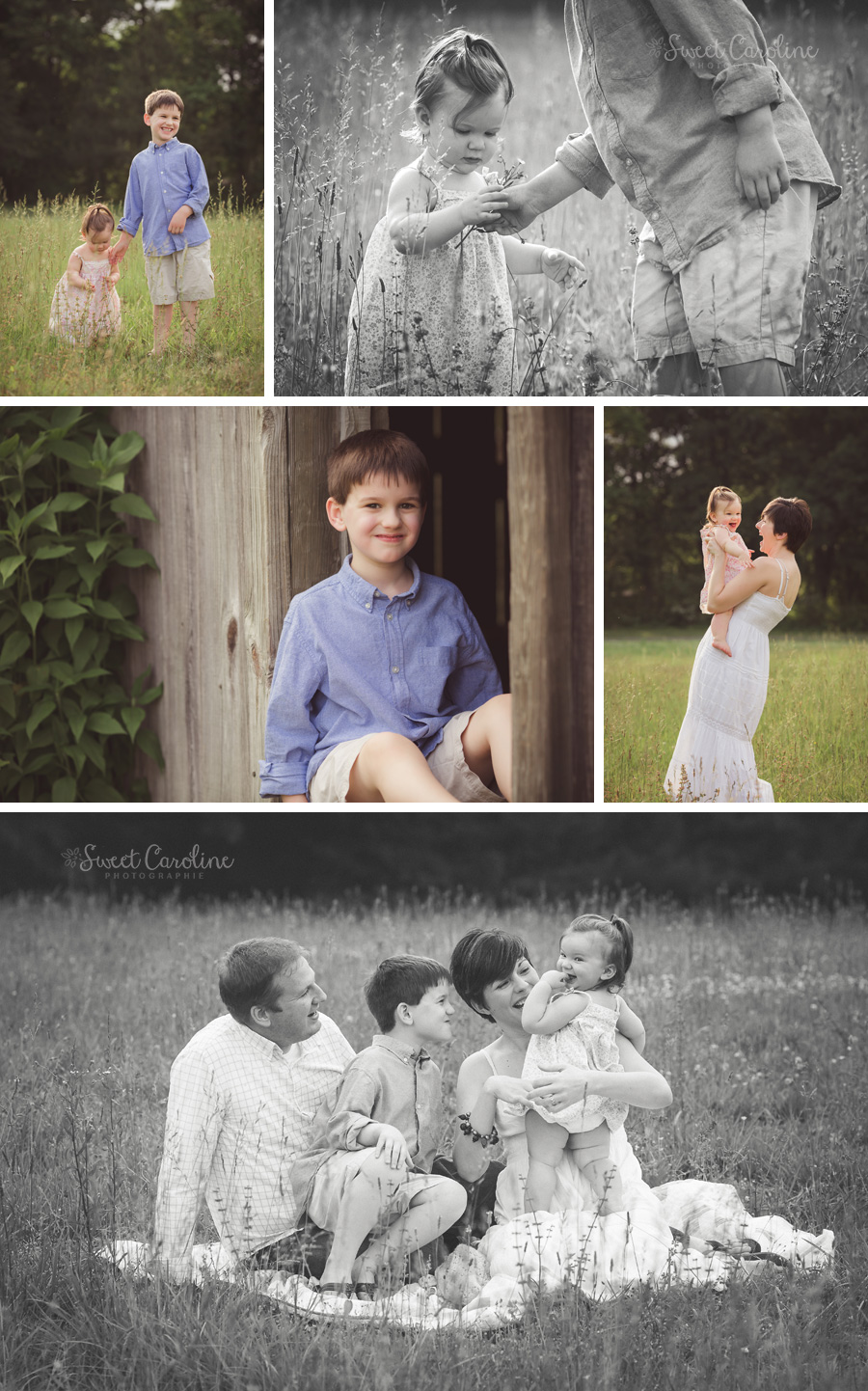 baby sister and big brother in wildflowers and with parents