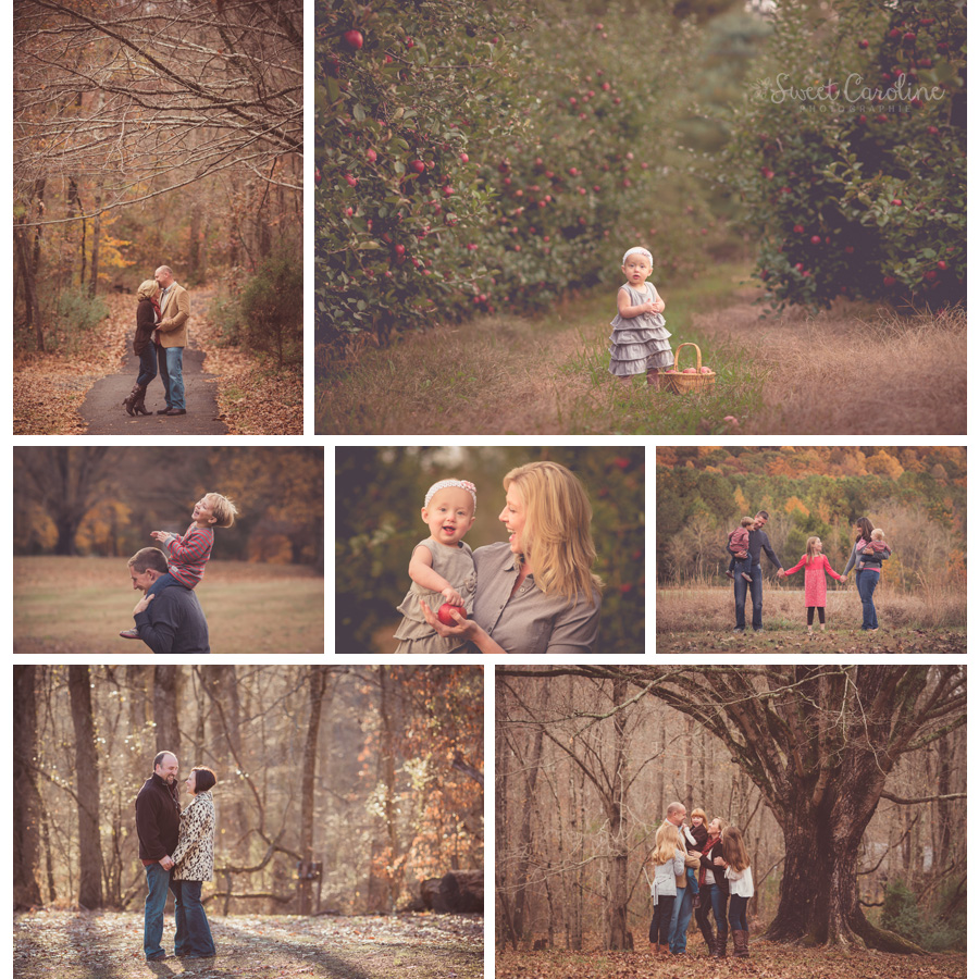 fall family portrait sessions 