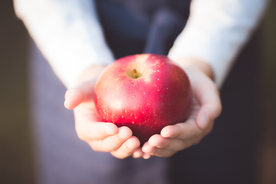 family apple orchard pictures | Chattanooga, TN | Sweet Caroline Photographie