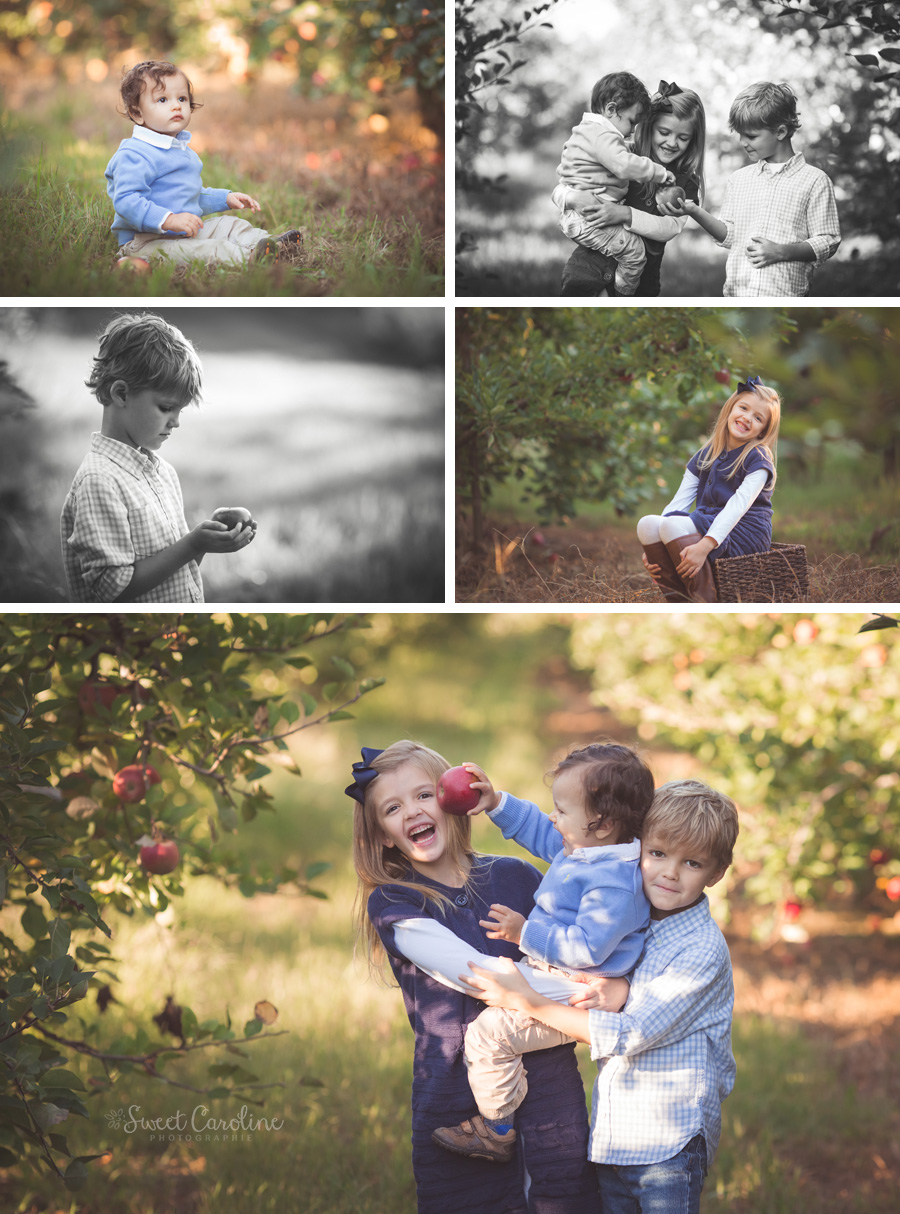 family apple orchard pictures | Chattanooga, TN | Sweet Caroline Photographie
