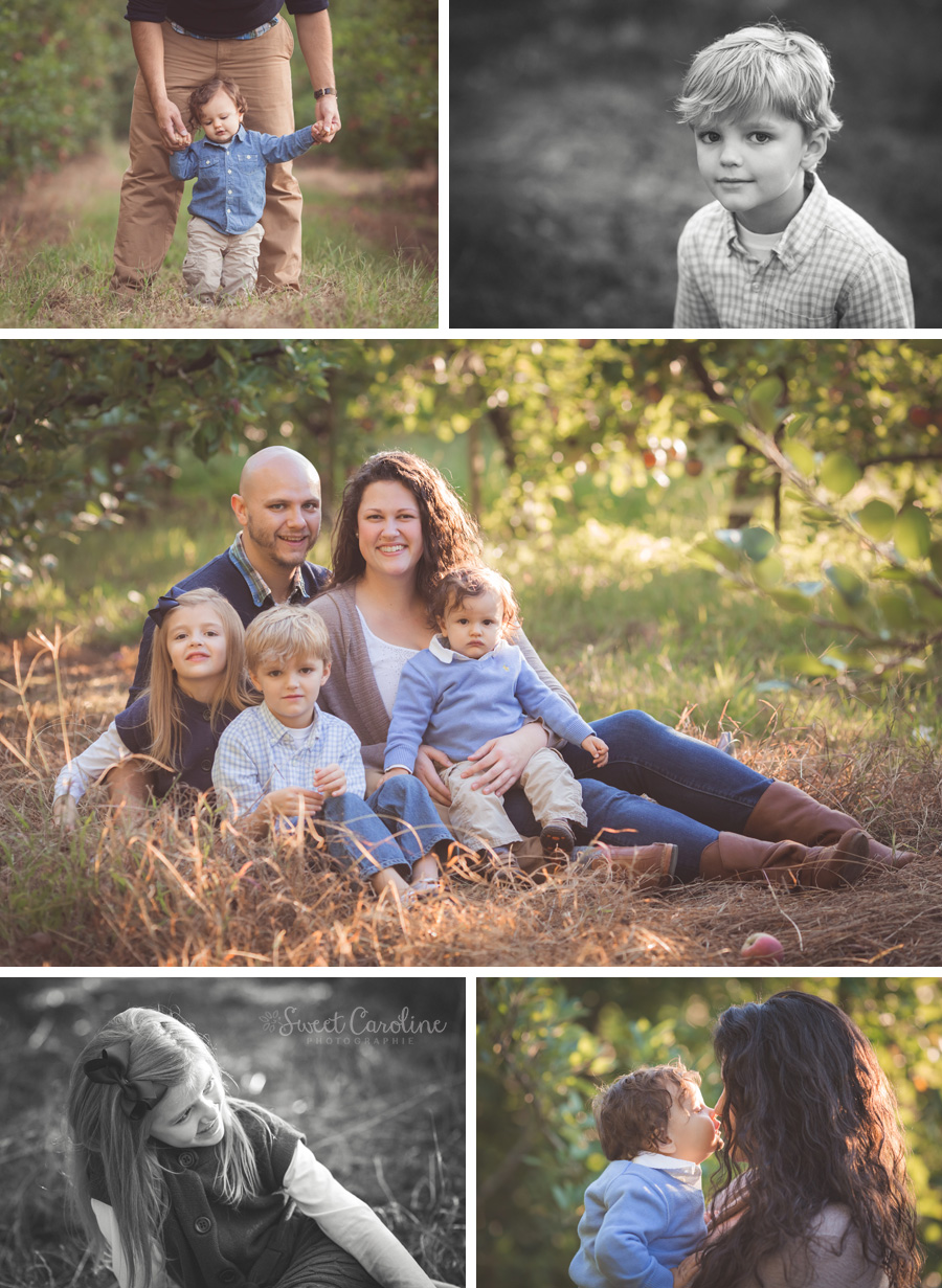 family apple orchard pictures | Chattanooga, TN | Sweet Caroline Photographie
