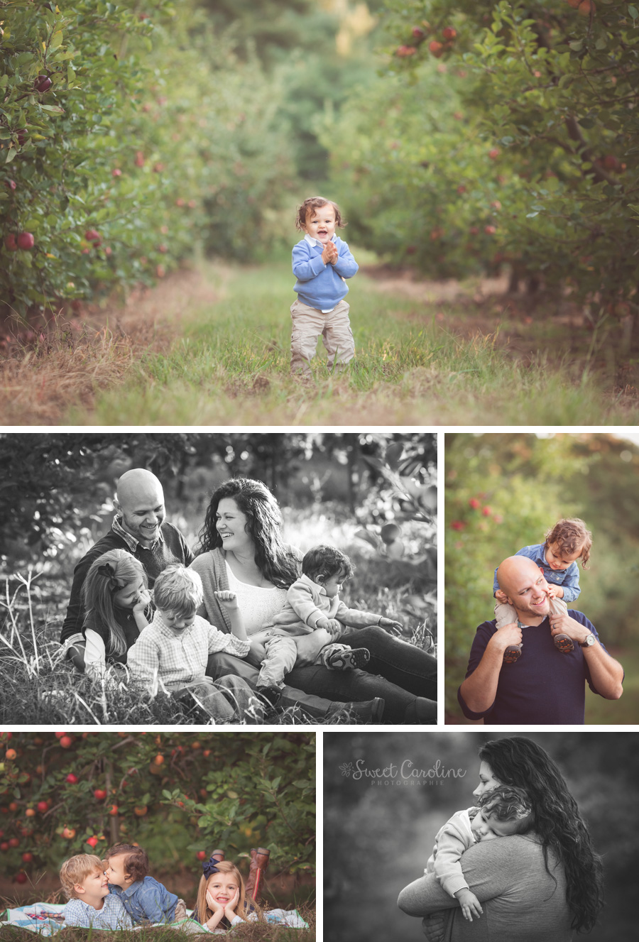 family apple orchard pictures | Chattanooga, TN | Sweet Caroline Photographie