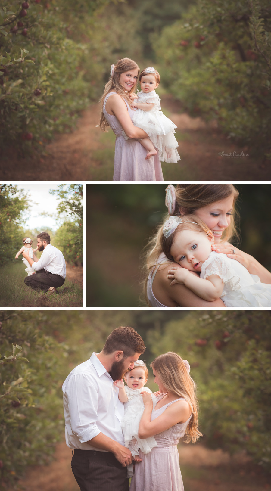 9 month baby girl apple orchard session | Chattanooga Family Photographer | Sweet Caroline Photographie