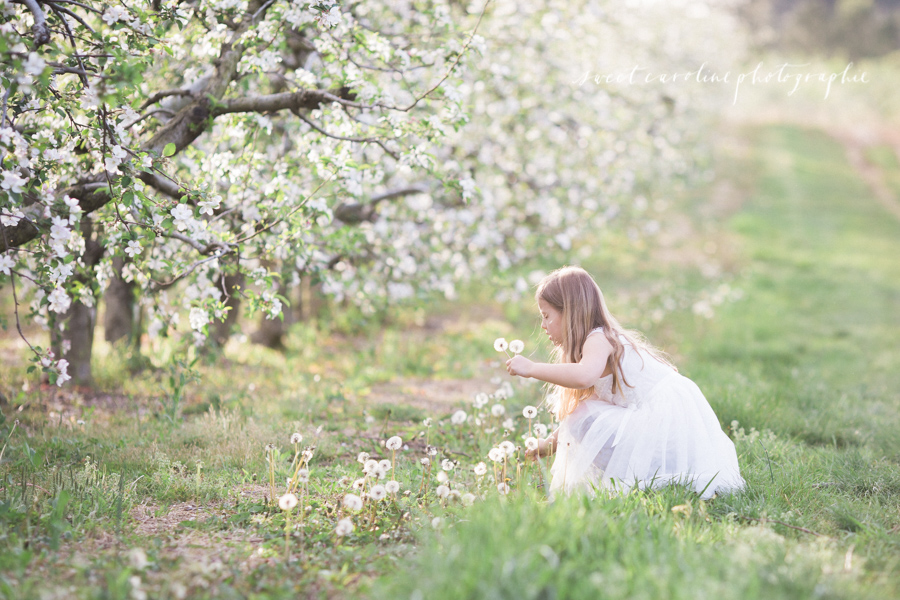 Chattanooga Child Photographer | Sweet Caroline Photographie