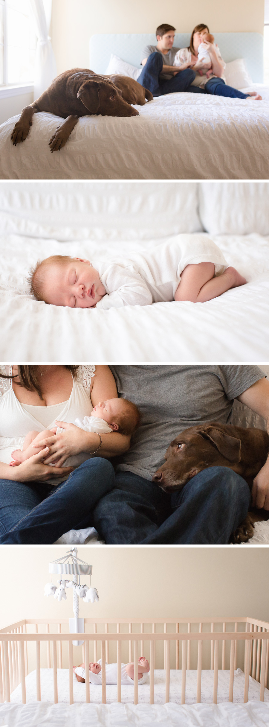 lifestyle newborn photography | Chattanooga Newborn Photographer | Sweet Caroline Photographie