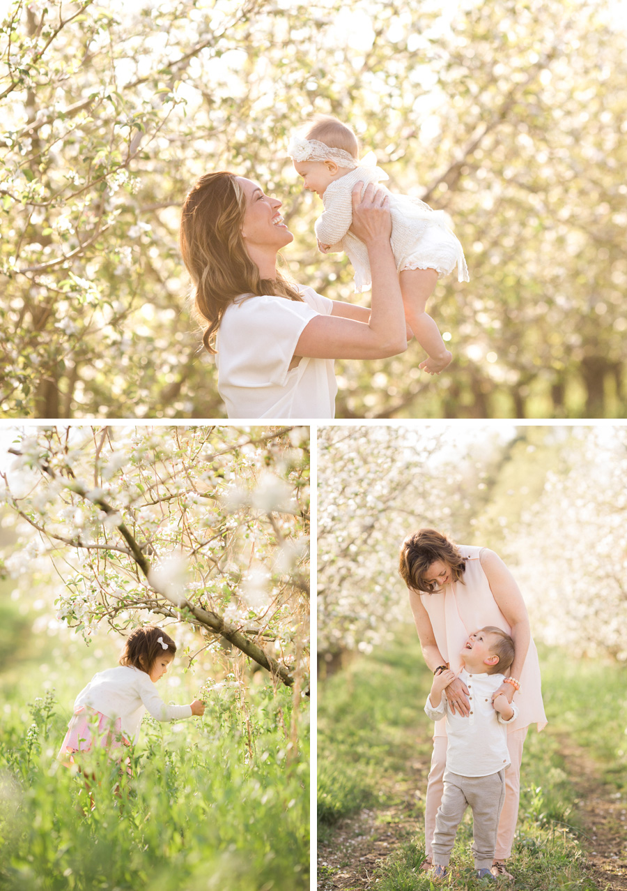 Chattanooga Photographer | Sweet Caroline Photographie | spring apple orchard