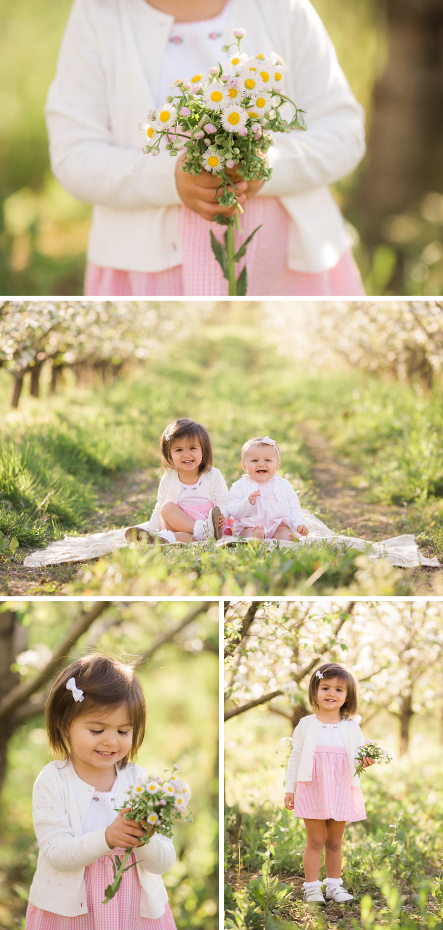 Chattanooga Photographer | Sweet Caroline Photographie | spring apple orchard portraits