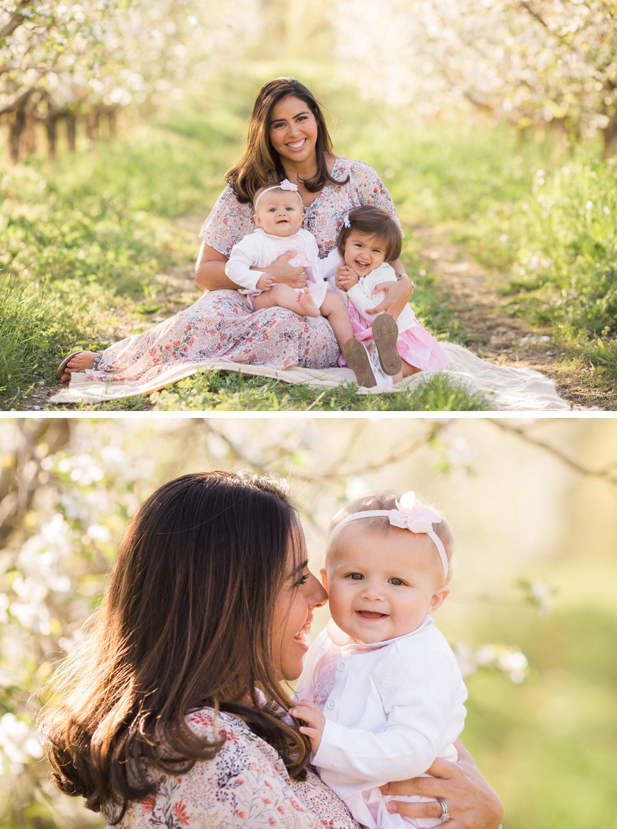 Chattanooga Photographer | Sweet Caroline Photographie | spring apple orchard portraits