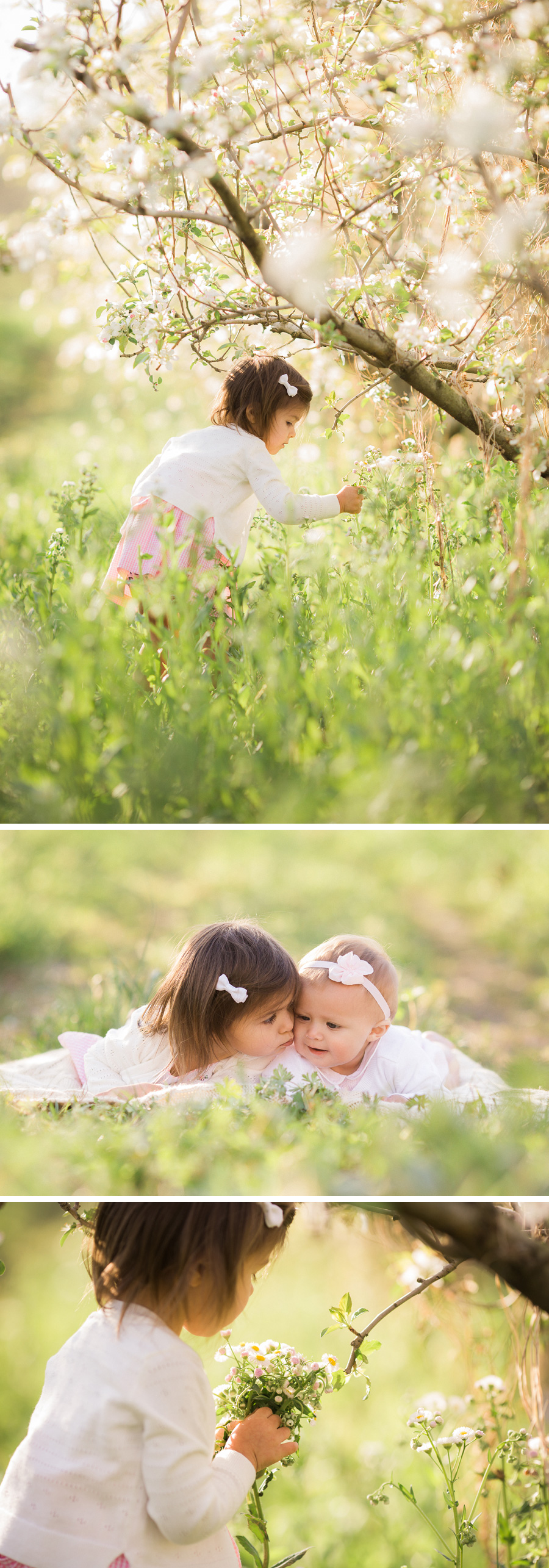 Chattanooga Photographer | Sweet Caroline Photographie | spring apple orchard portraits
