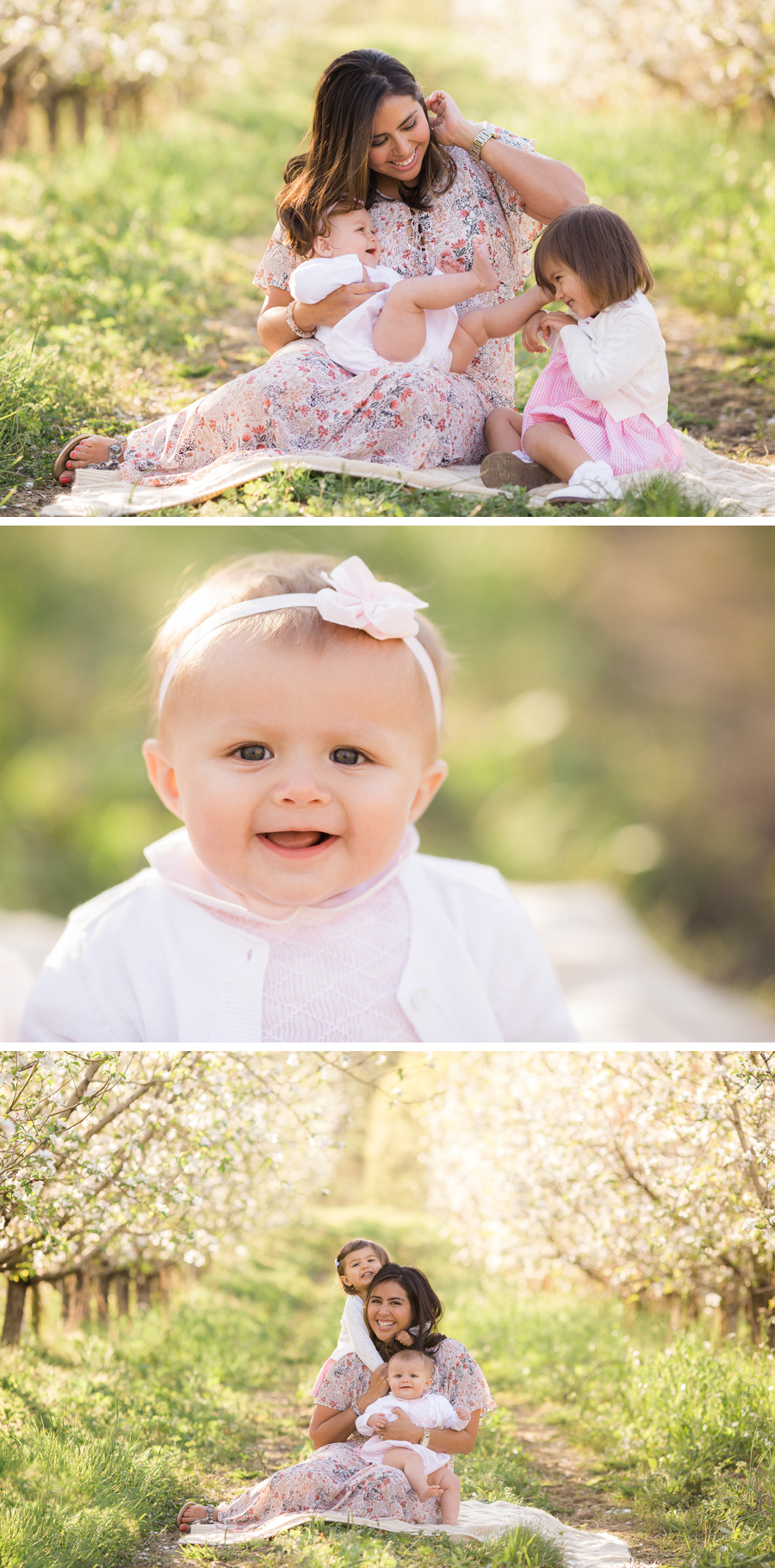 Chattanooga Photographer | Sweet Caroline Photographie | spring apple orchard portraits