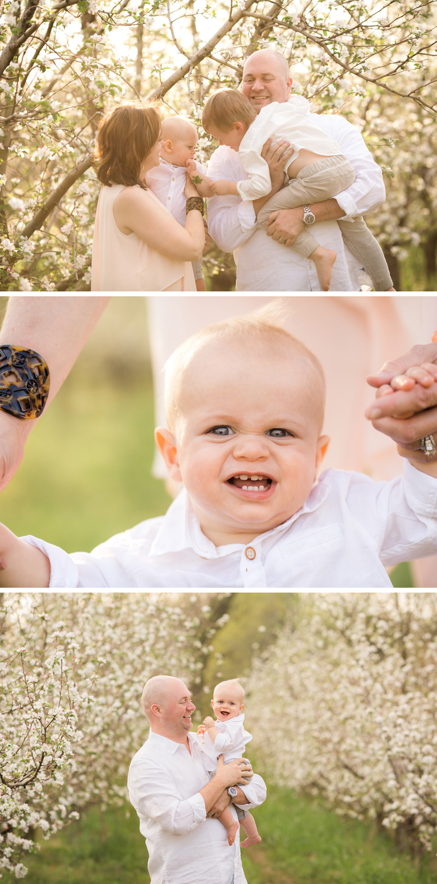 Chattanooga Photographer | Sweet Caroline Photographie | spring family portraits at the apple orchard