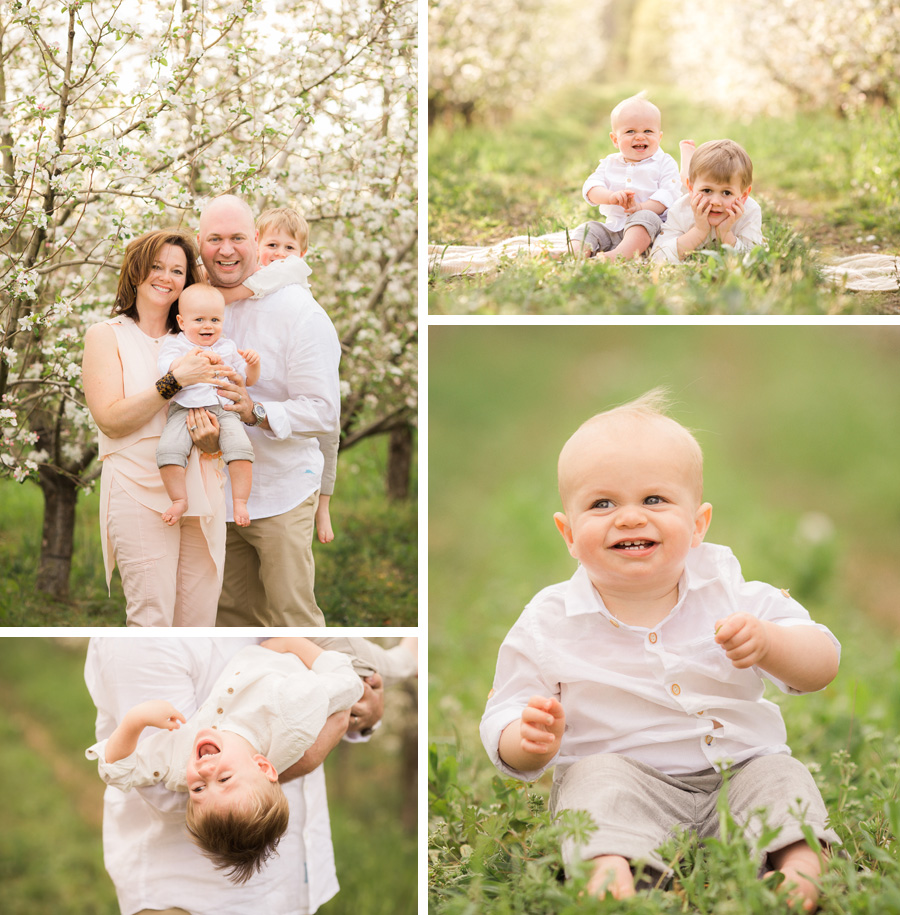 Chattanooga Photographer | Sweet Caroline Photographie | spring family portraits at the apple orchard