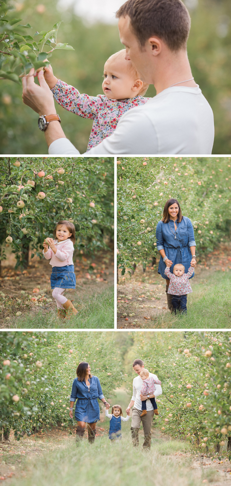 Chattanooga Family Photographer | Sweet Caroline Photographie | one year baby milestone