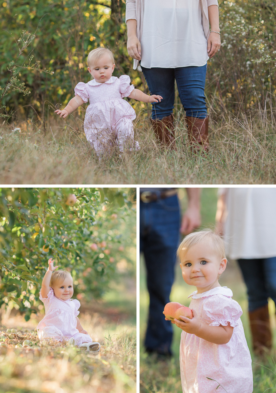 Chattanooga Photographer | Sweet Caroline Photographie | fall family apple orchard session