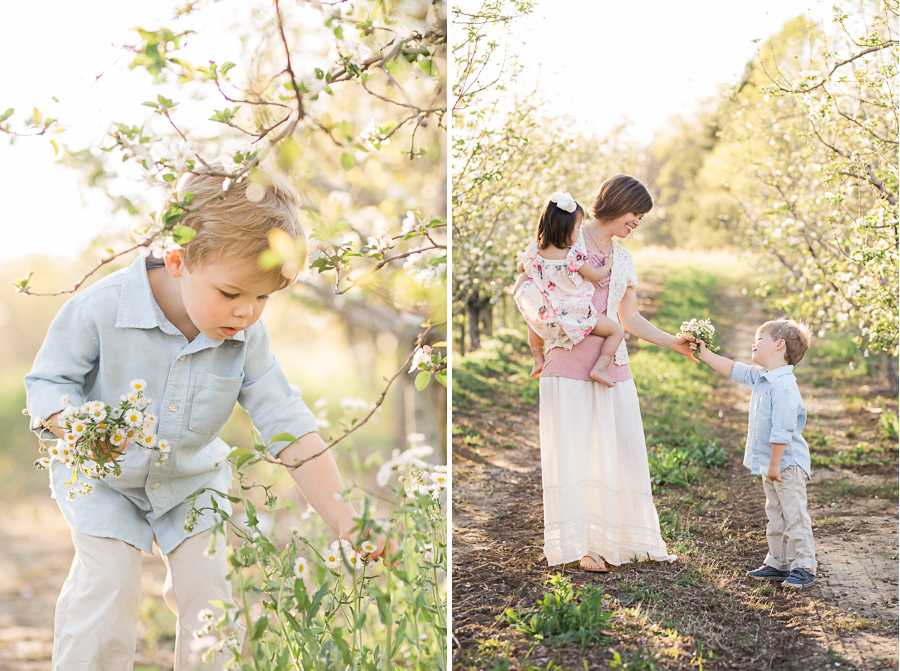 Chattanooga Photographer | Sweet Caroline Photographie | spring family photos apple orchard
