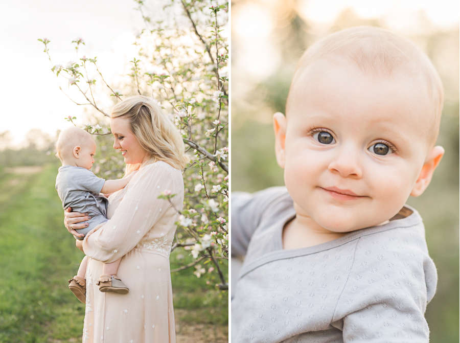 Chattanooga Photographer | Sweet Caroline Photographie | spring family photos apple orchard