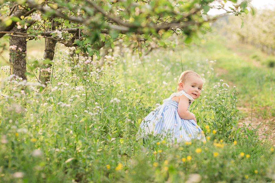 Chattanooga Photographer | Sweet Caroline Photographie | spring family photos apple orchard