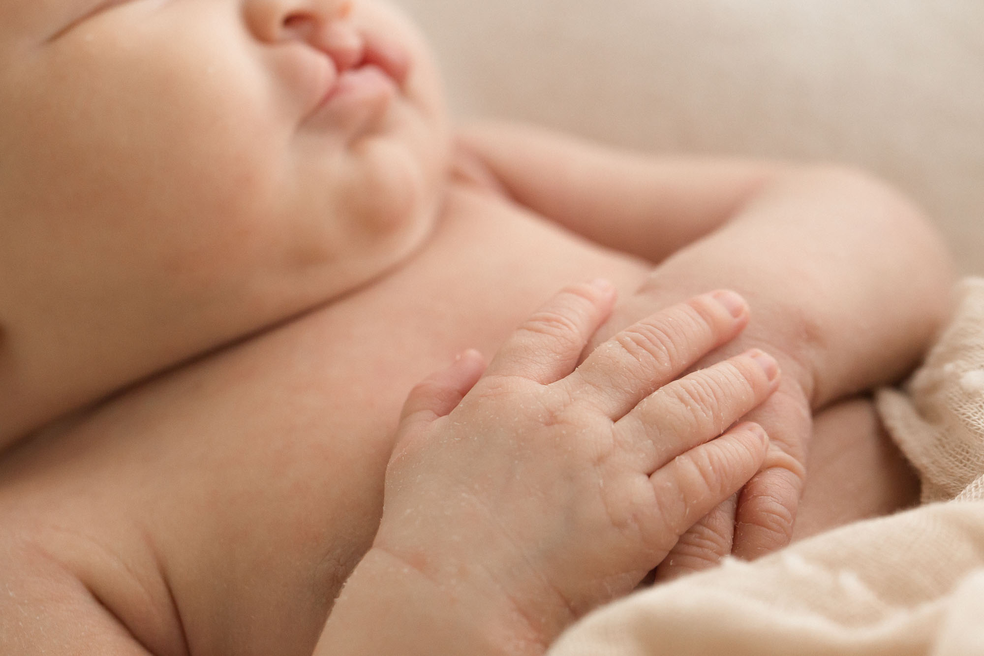 Newborn Baby and Family Photography | Sweet Caroline Photographie