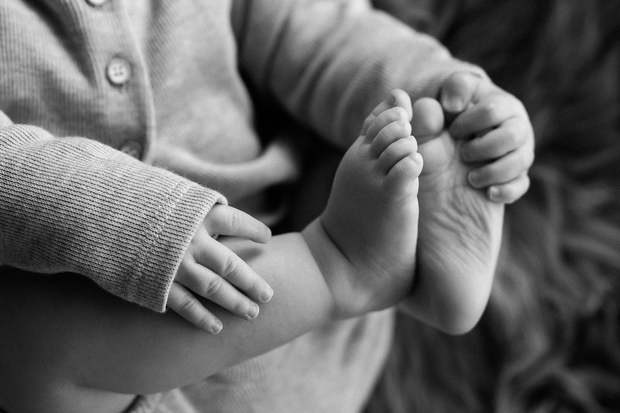 6 Month Baby Photographs | Sweet Caroline Photographie