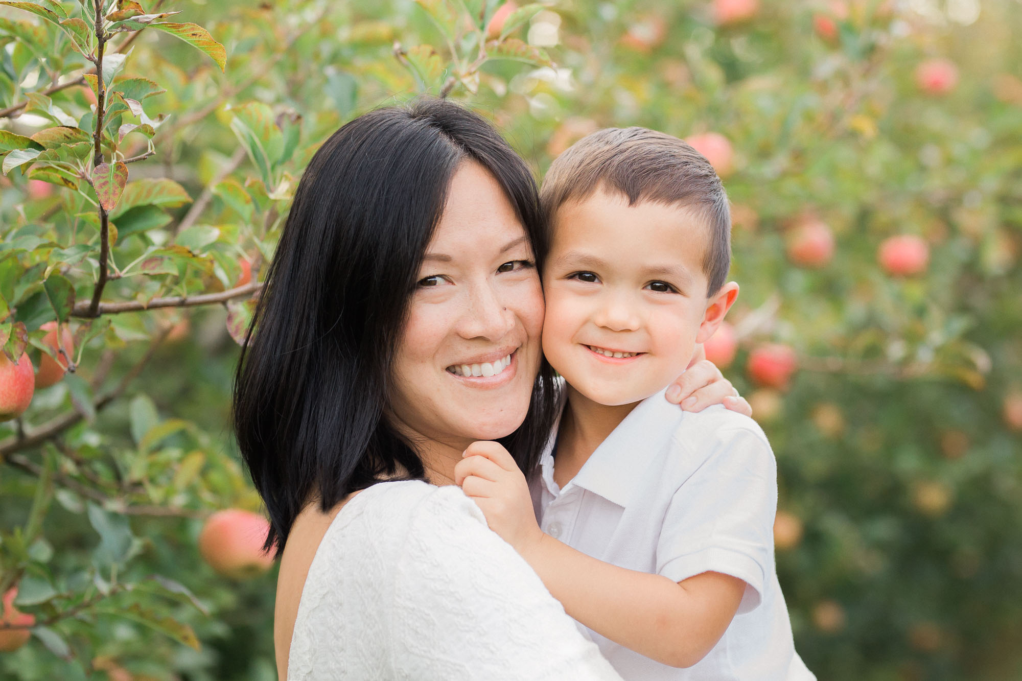 Fall Apple Orchard Maternity Photographs | Sweet Caroline Photographie