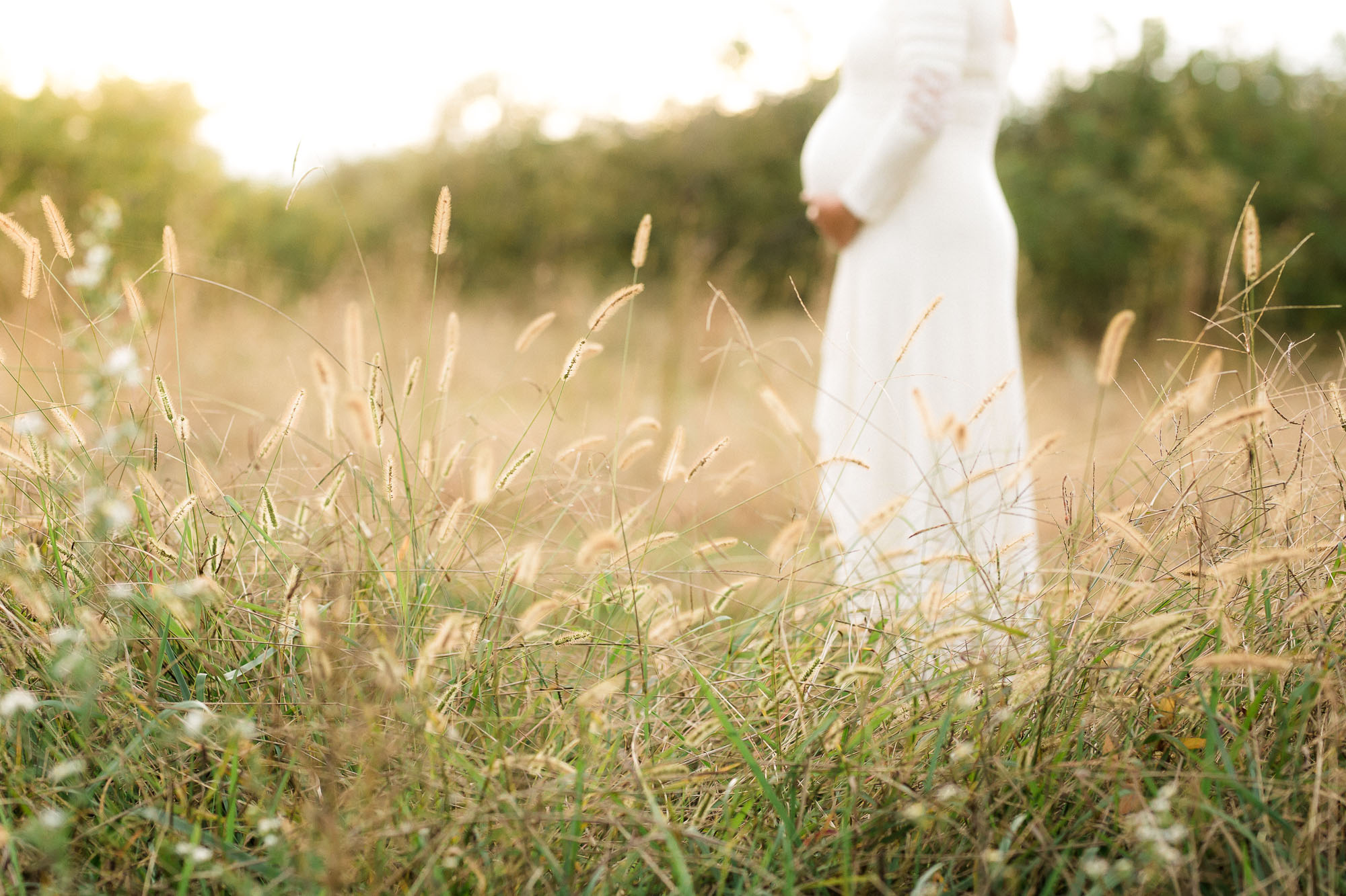 Fall Maternity Family Photographs | Sweet Caroline Photographie