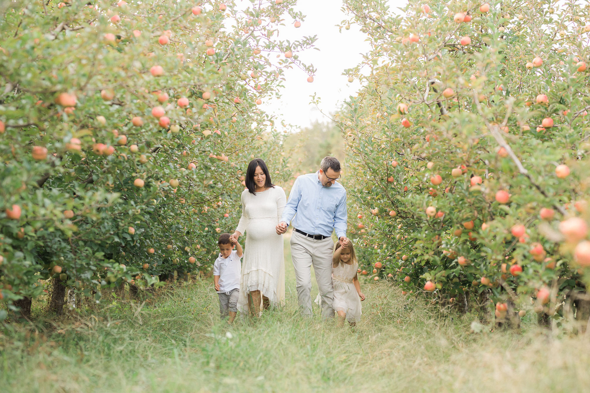 Fall Apple Orchard Maternity Photographs | Sweet Caroline Photographie