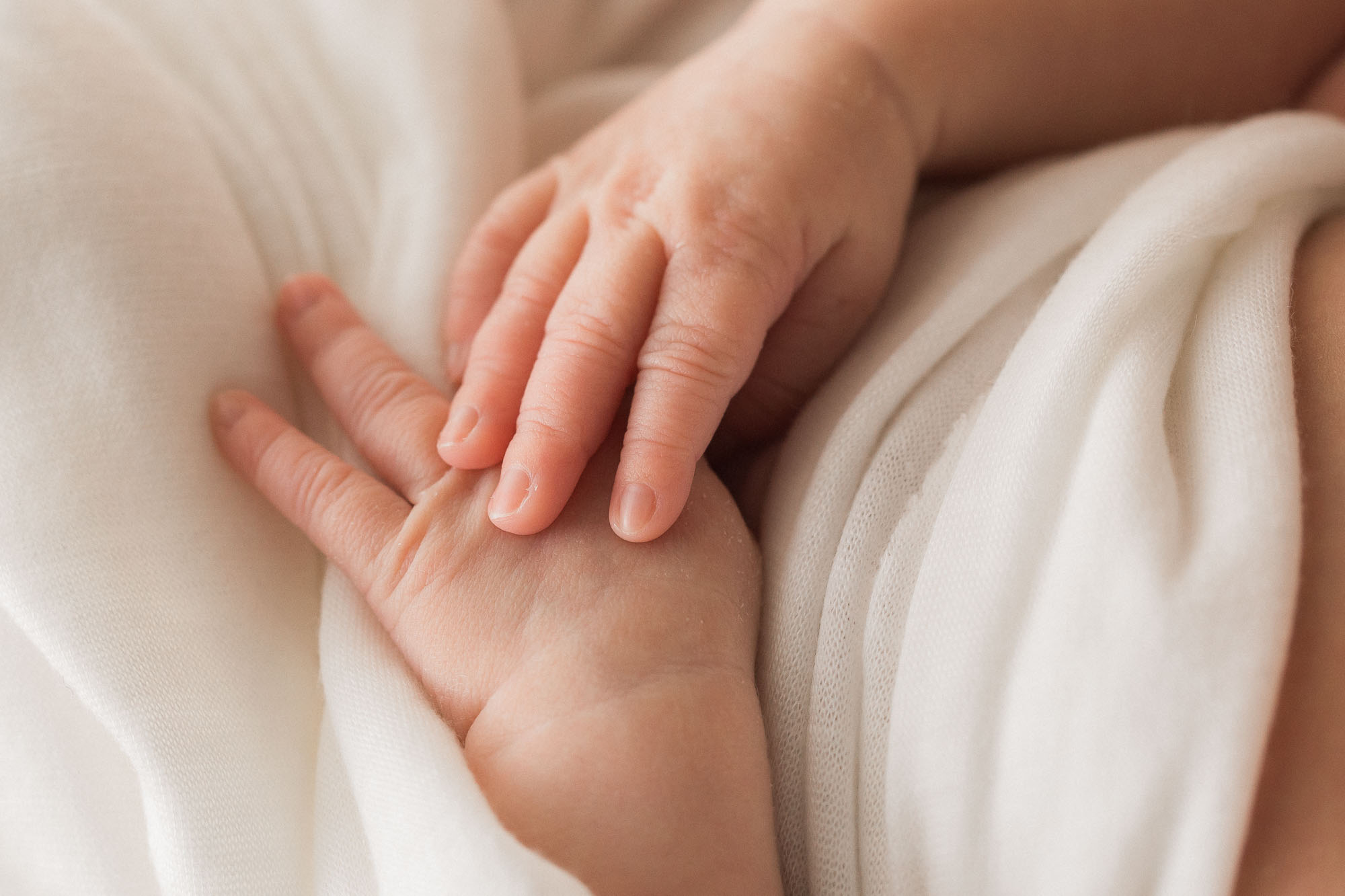 family newborn photographs | Sweet Caroline Photographie