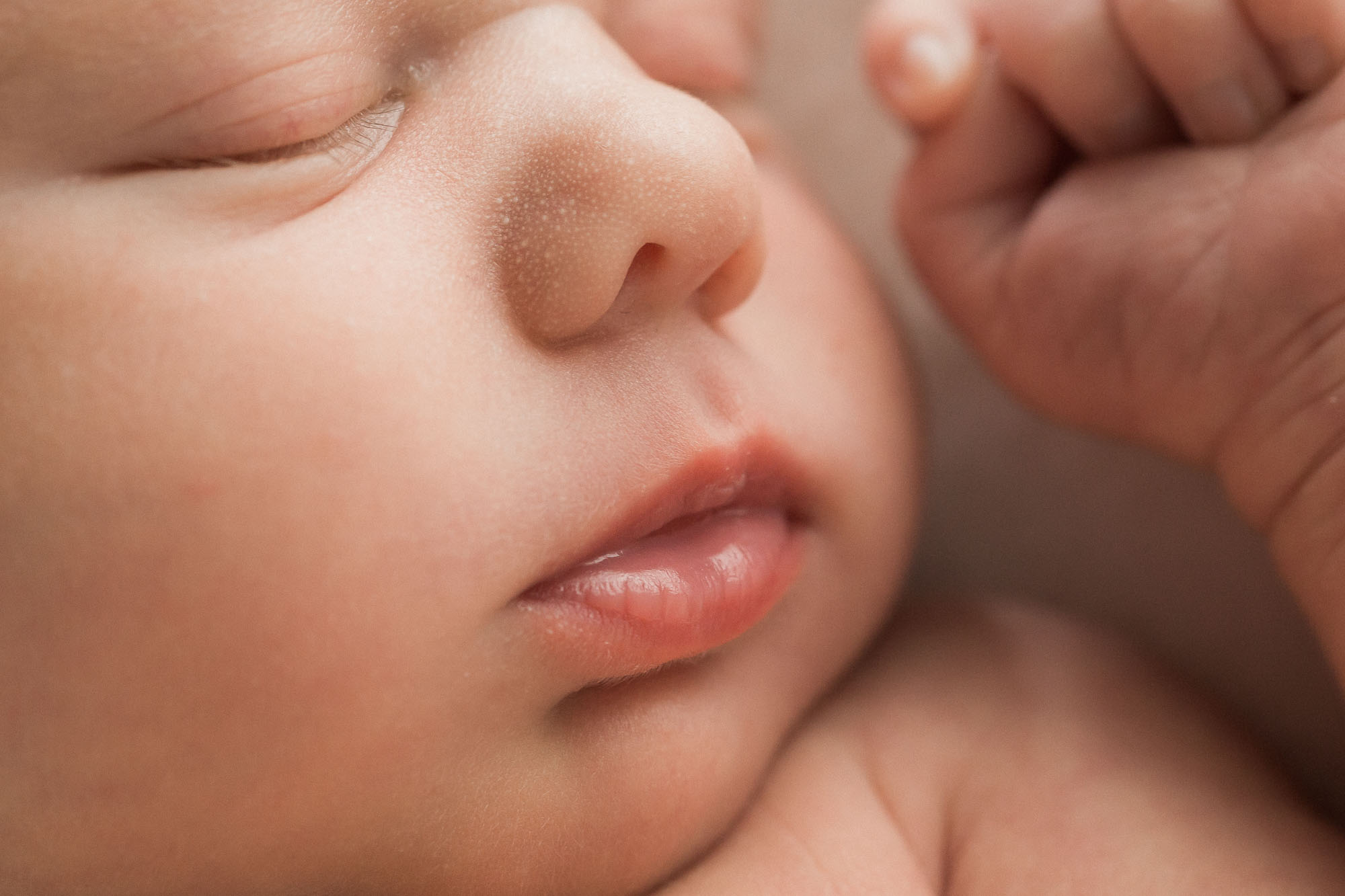 family newborn photographs | Sweet Caroline Photographie