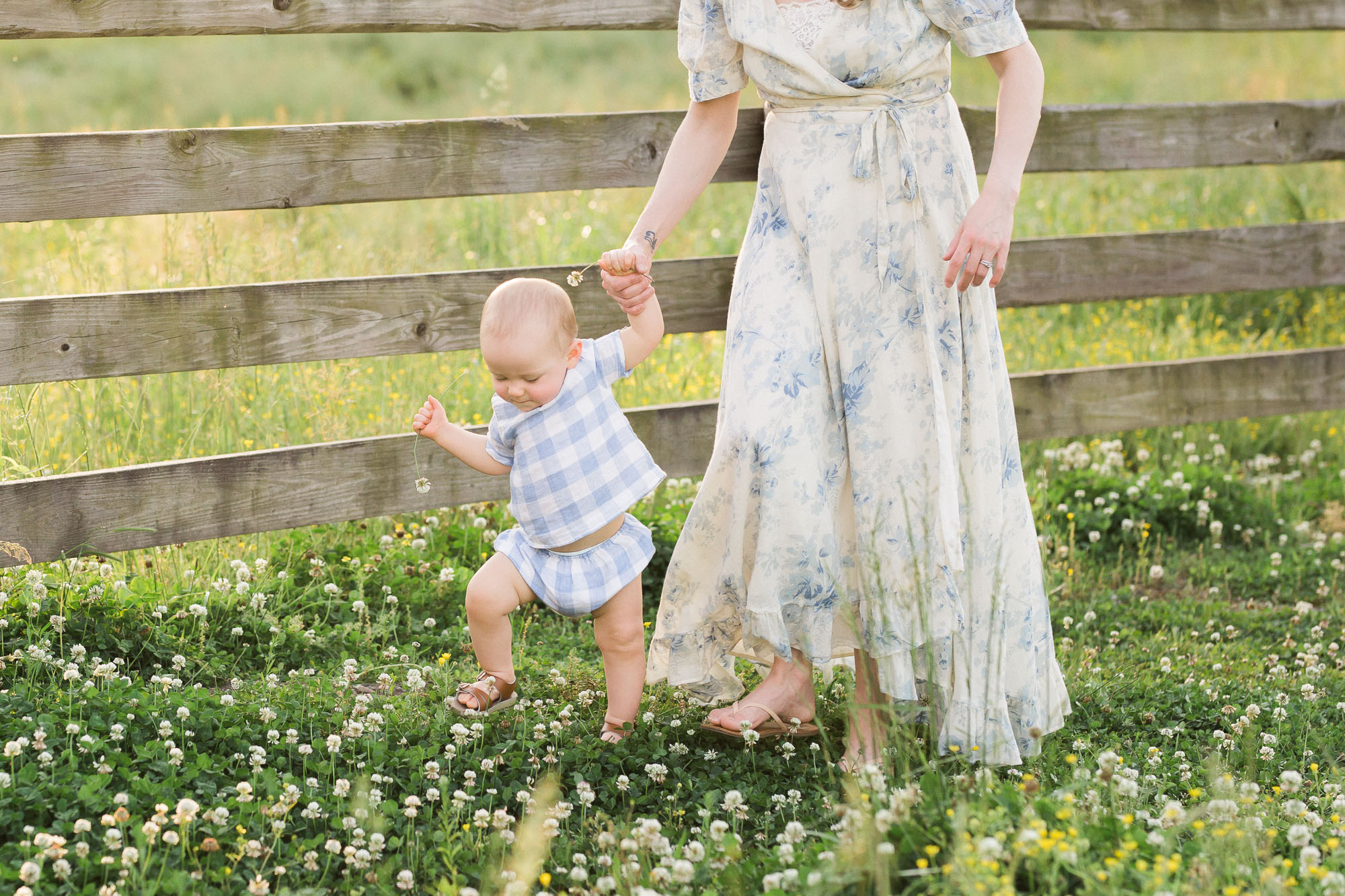 Summer Family Farm Photos | Sweet Caroline Photographie
