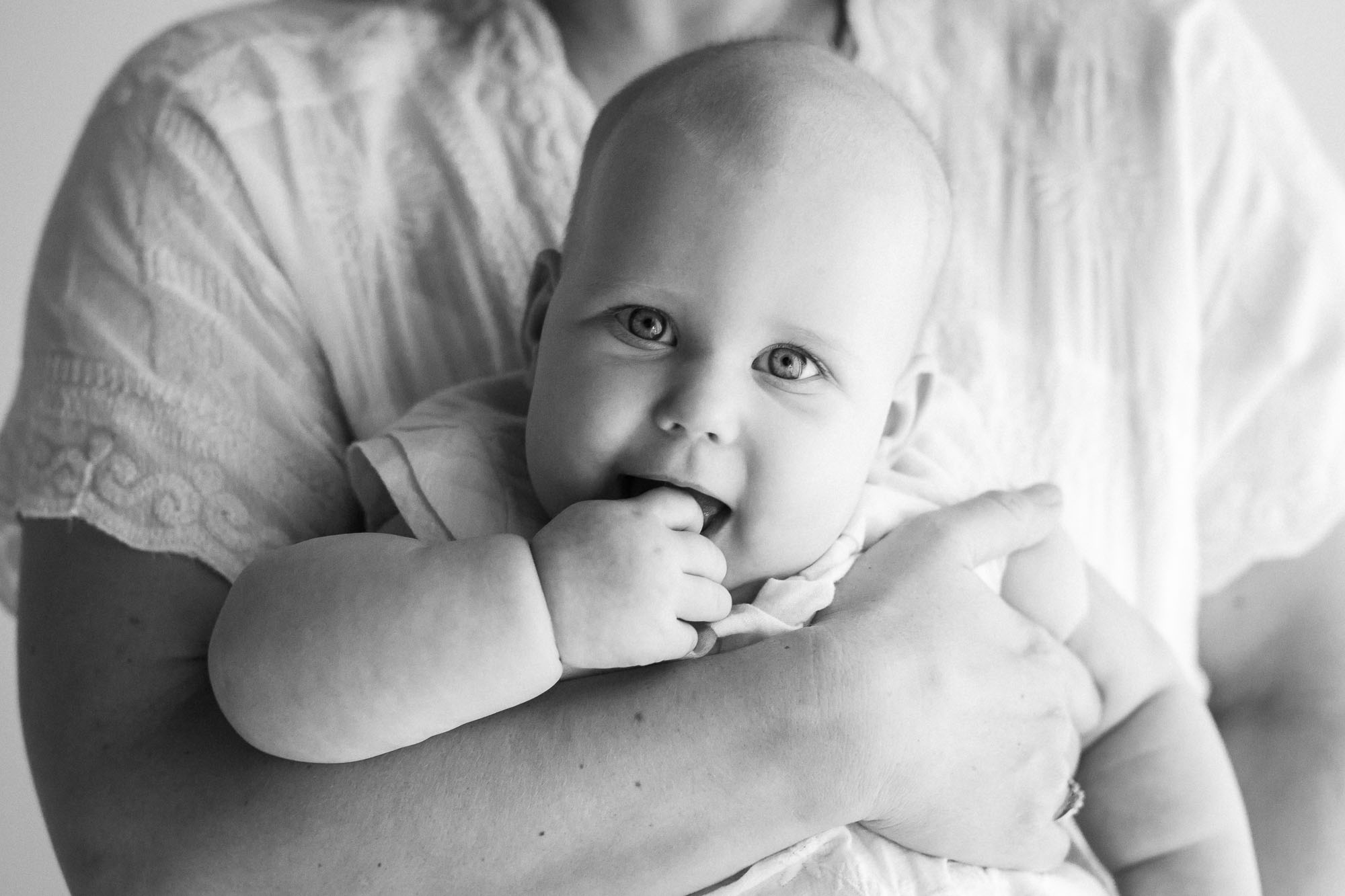 Six Month Baby | Studio Photographs | Sweet Caroline Photographie