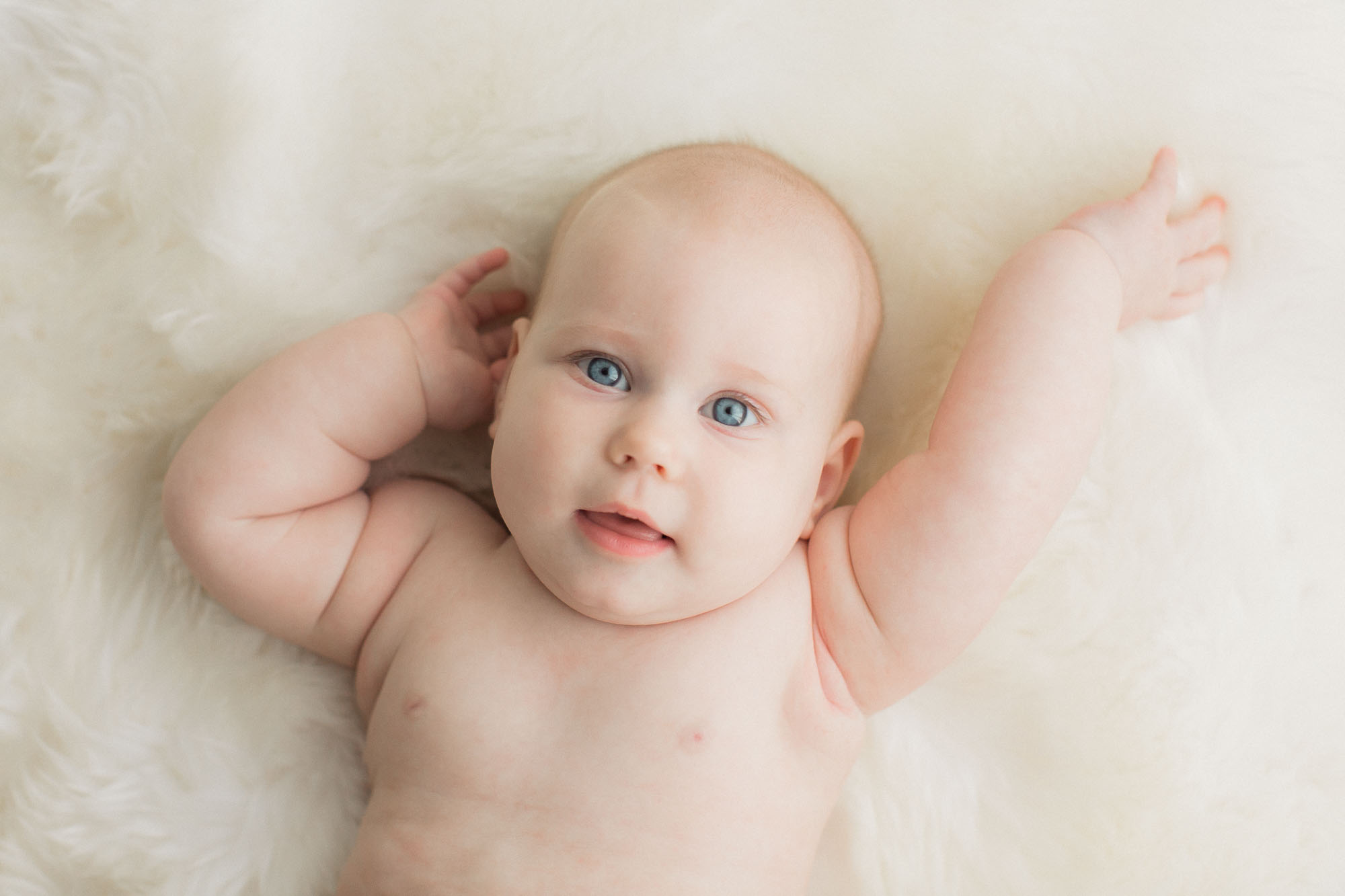 Six Month Baby | Studio Photographs | Sweet Caroline Photographie